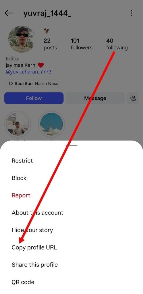 copy profile url ke upar click kare